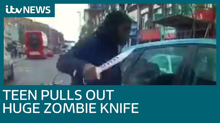 Teenager who tried to attack driver with zombie kn...