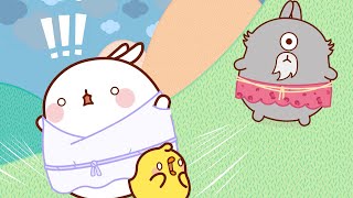 Molang and Piu Piu meet a REAL CYCLOPS | Funny Compilation For kids