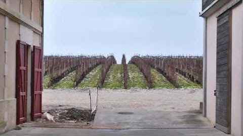 JAMESSUCKLING.COM - Bordeaux 2014 En Primeur: Margaux - Château Brane Cantenac