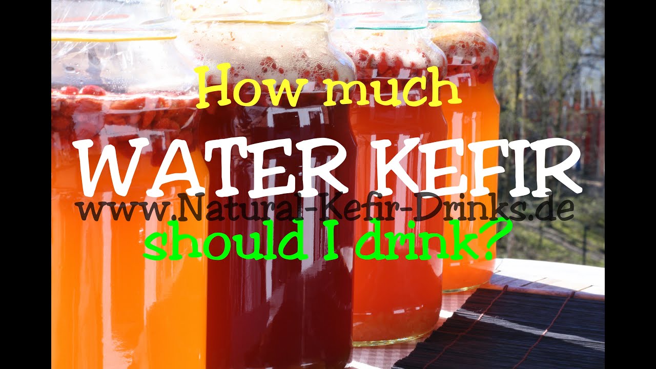 How much water kefir lemonade should I drink? (kefir grains, kefir