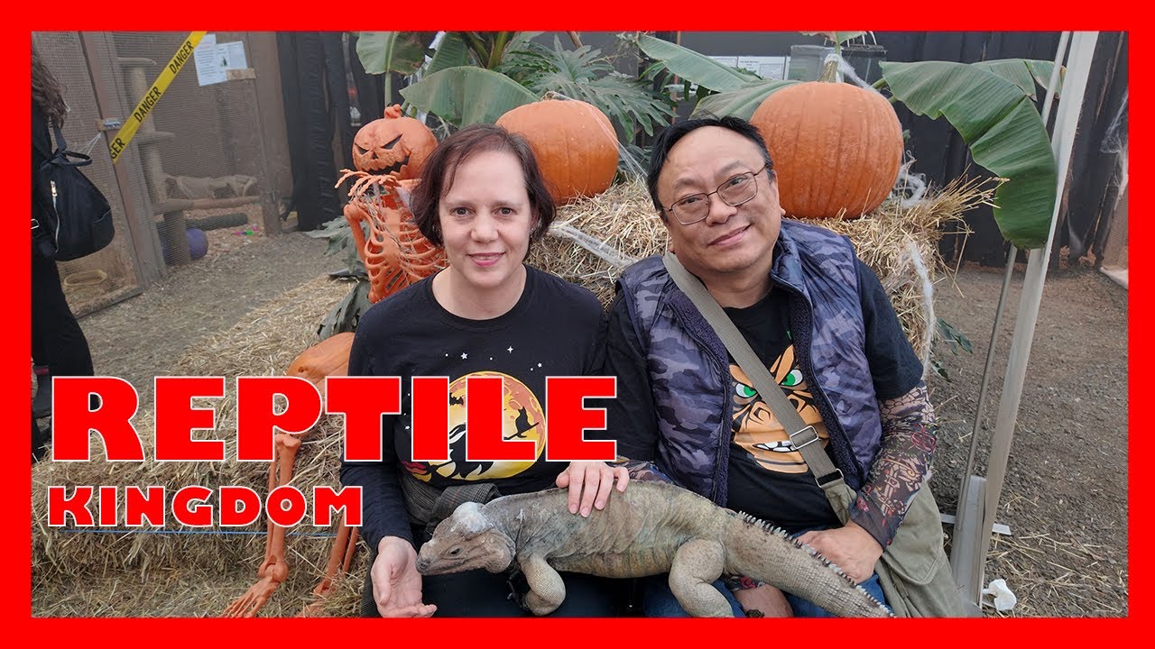 REPTILE KINGDOM IN LANGLEY