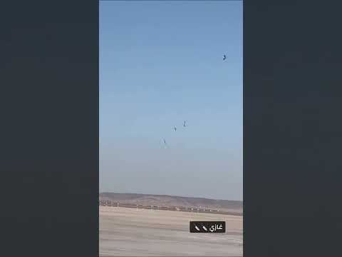 هدد زرقي مقناص 2025 صيد الصقور