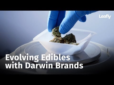 Evolving Edibles with Darwin Brands