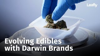 Evolving Edibles with Darwin Brands