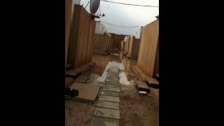 IMG 7407
