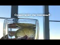 Существуют ли токсины?