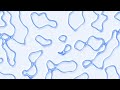 Animated Pattern Overlay Background Video #4k