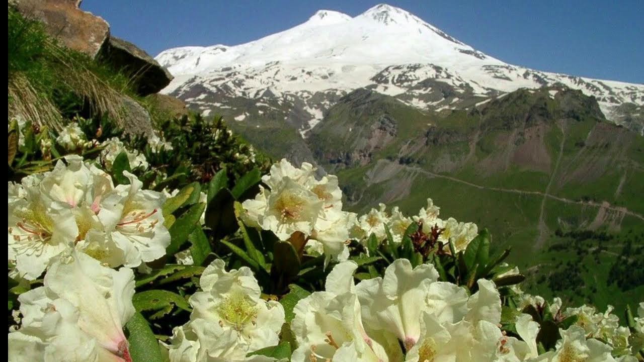 2026  -   01  -  18      Вечер