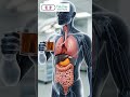 ginger  PCOS-ல இருந்துrelif தருமா?#drjansi #pinklines #viral
