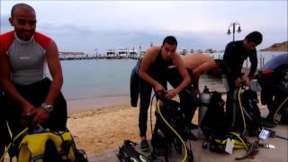 Sharm El Sheikh Divers Dive 31 12 2015