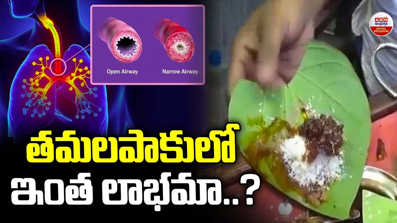 ఒక్క తమలపాకు లో ఇంత లాభమా..? || Benefits of Betel Leaf || ABN Digital