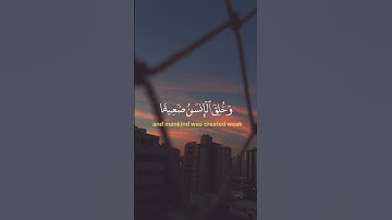 سورة النساء الآية 28