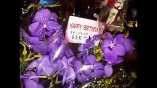 LEI CHAN's BIRTHDAY @ SCTB - July 21, 2013