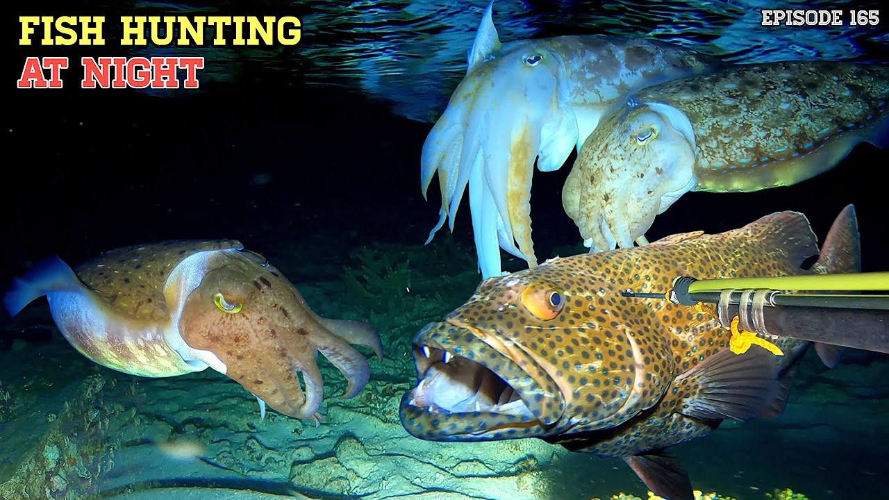NIGHT SPEARFISHING EPISODE 165 | FISH HUNTING AT NIGHT