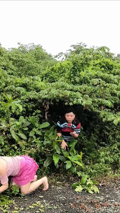 Download lagu Daily life 🥰🥰🥰