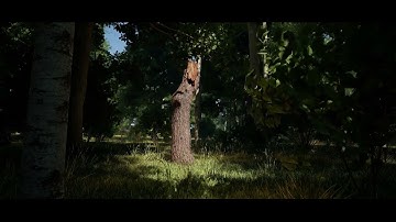 Unreal Engine 5.7 - Realtime Forest