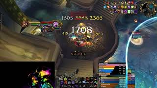 #1 DPS Assassination Rogue Auriaya (10 man) | WotLK Classic Ulduar