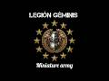 Legión Gemini #warhammer40k #warhammer #miniaturepainting #film #shorts #shortvideo #army #40k #yt