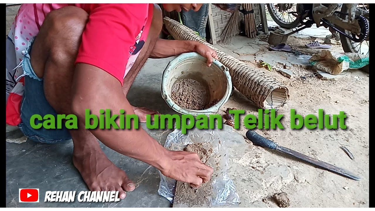 Cara buat umpan Telik untuk belut