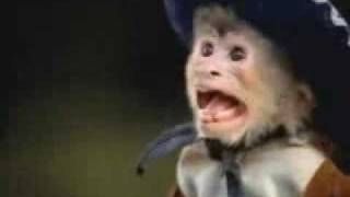 taco john starring whiplash the cowboy monkey