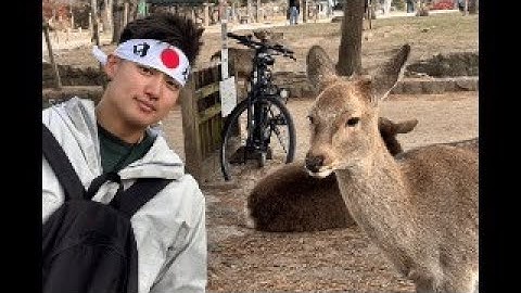 【緊急】色々ありました