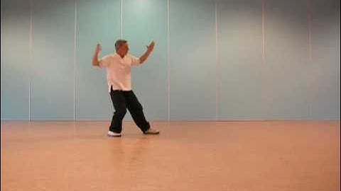 Tai Chi Chuan. Forme Yang. Partie 2, "L