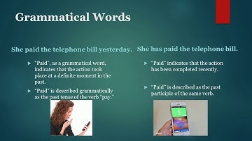 LEXICOLOGY – THE SCIENCE OF WORDS