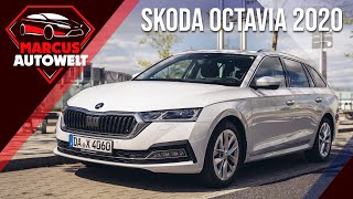 So viel Skoda Octavia Combi (2020) bekommst IHR für 46.596 € | Review Fahrbericht