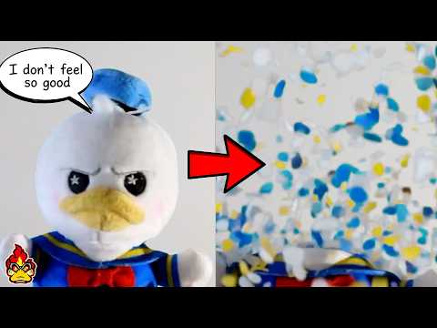 I Blew Donald's Mind...