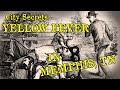 City Secrets Yellow Fever In Memphis, TN 2003