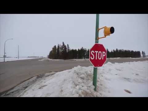 Video: Humboldt Broncos Bus Crash Survivor Möter Sin Nya Servicehund