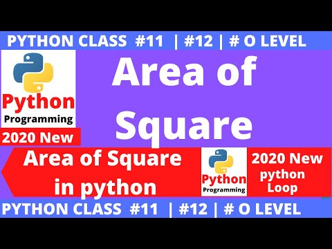 python program : square area | program to find the area of a square | vitaminm