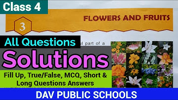 DAV class 4 Science Chapter 3 - Solutions || Questions Answers - complete