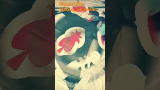 World's Biggest Kite Making & Flying only on @Kitestan