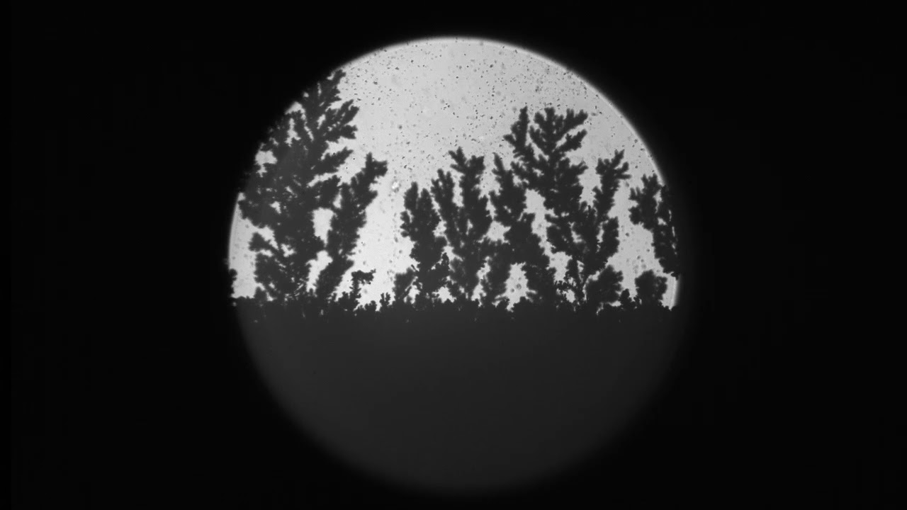 Dendrite growth during electrodeposition