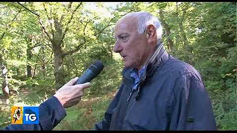 Quando si raccolgono le castagne in Lombardia?