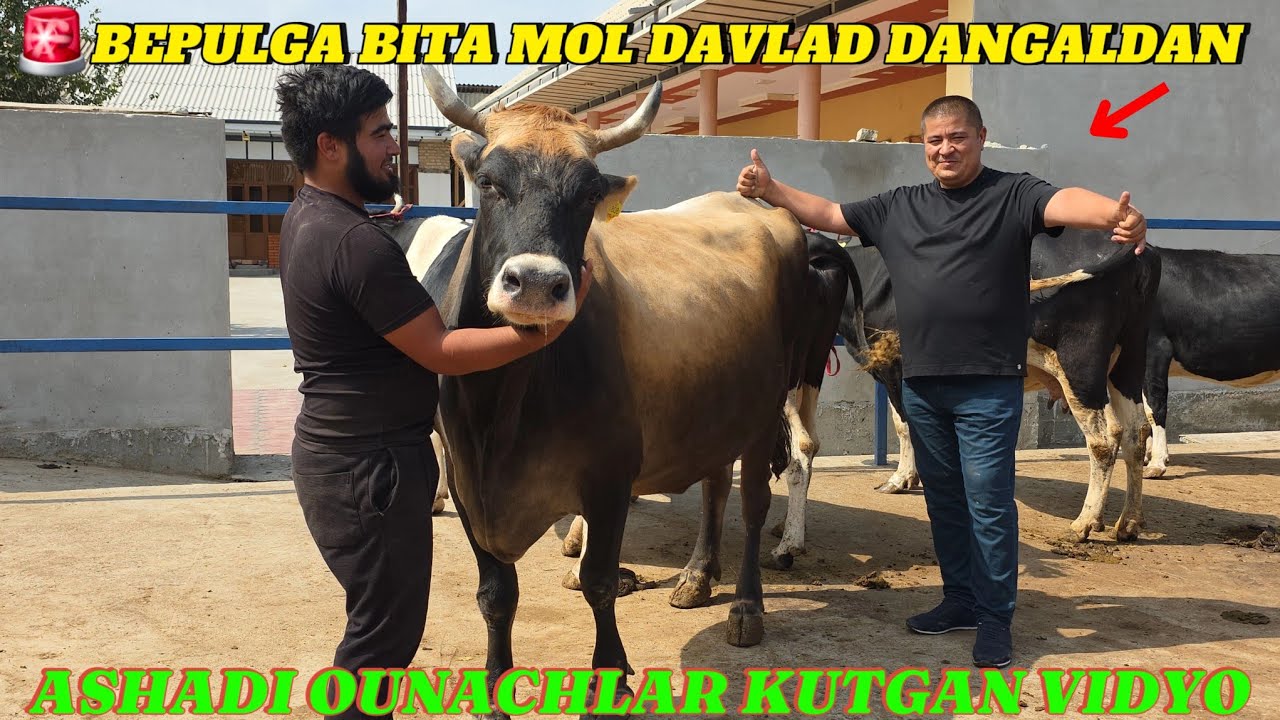 Lisa Sparks va 919 Erkaklar porno video Onlaynda qizning mushukiga teginishini tomosha qiling