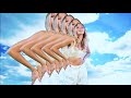 VIZE x Leony - Paradise (Official Video)