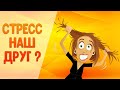 СТРЕСС - НАШ ДРУГ! /ПРОЩАЙ ТРЕВОЖНОСТЬ/СНИЖАЙСЯ КОРТИЗОЛ