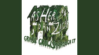 Celebrity Dalia Wealth