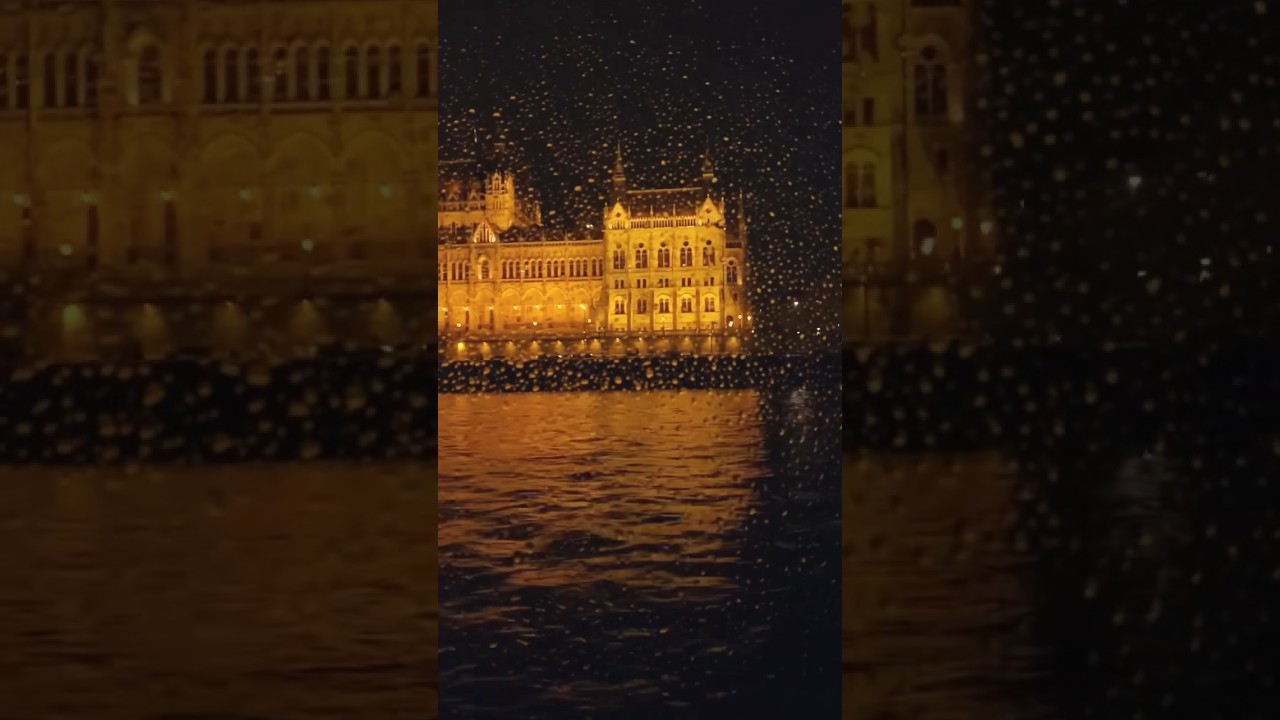 All you have to decide is what to do with the time that is given to you.. ✨ #danube #river #night