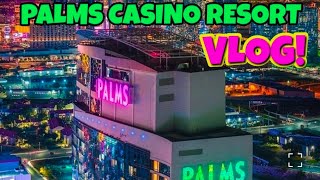 VEGAS PALMS VLOG