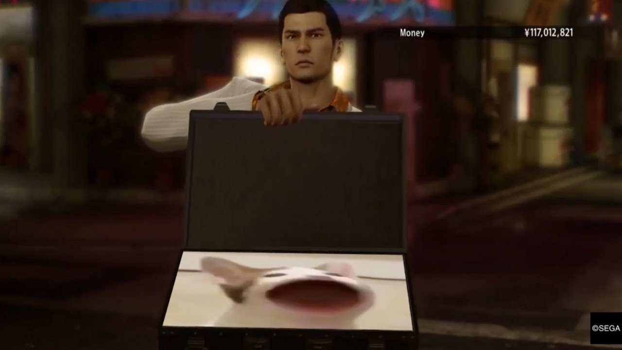 I make you an offer (Pop cat edition)