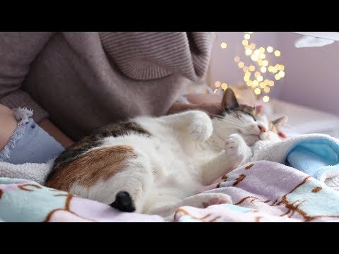 Wintertime Maymay Cuddles (Binaural ASMR soft spoken + petting)