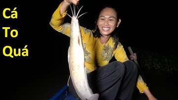 442 / Ra Sông Cái Bé Thả Câu Viền Bằng Mồi Dế