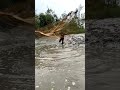 Village Fishermen Catch Huge Fish in Sundarbans Waters! #fishing #fishinglife #shorts #fishingreel