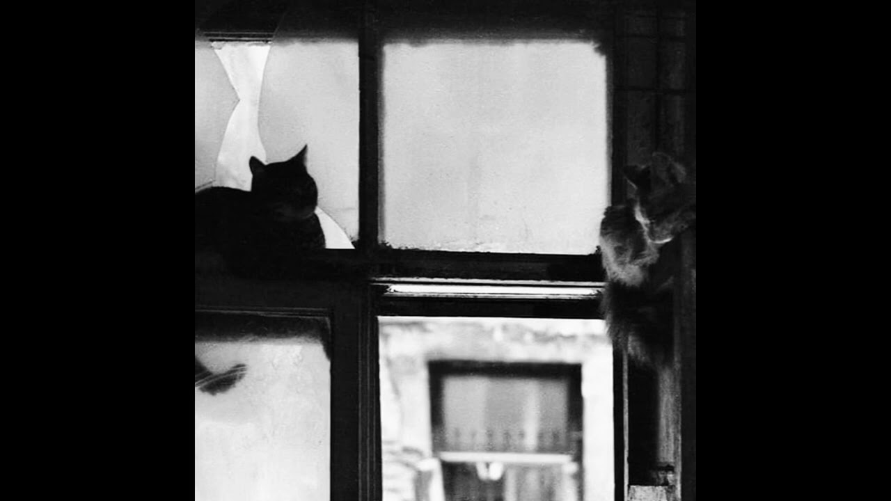 The Alchemist x Freddie Gibbs Type Beat 2023 "Fetti"