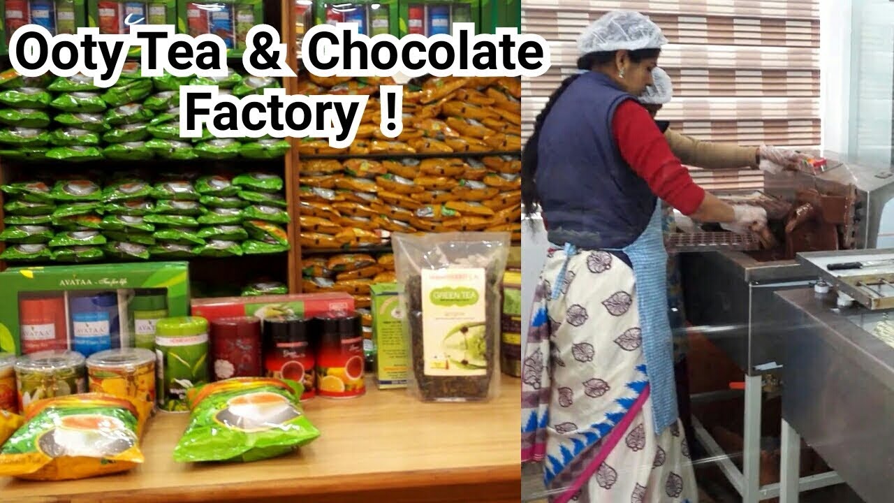 Ooty Tea Factory Chocolate Factory YouTube Ooty Tea Factory Chocolate Factory YouTube