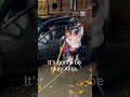 Rescued From The Flood