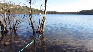 Peters Pond Trout fishing Cape Cod February 14, 2020